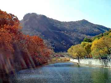 新澳天天开奖资料大全旅游团，横滨轮胎怎么样